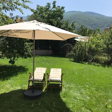 Guest House Vergie Сапарева Баня Екстер'єр фото