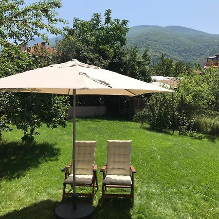 Guest House Vergie Сапарева Баня Екстер'єр фото