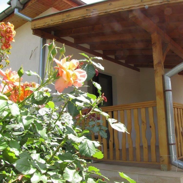 Guest House Vergie Сапарева Баня Екстер'єр фото